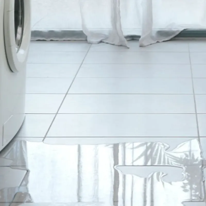 Appliance Leak Cleanup in Morgan Park, IL