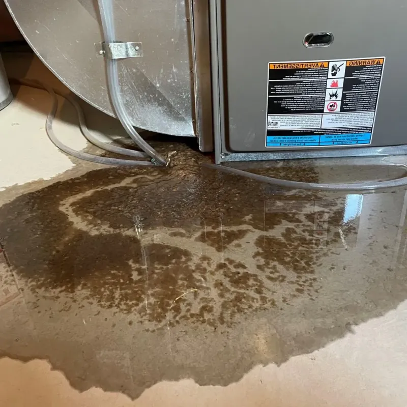 Pipe Burst and Leak Restoration in Morgan Park, IL